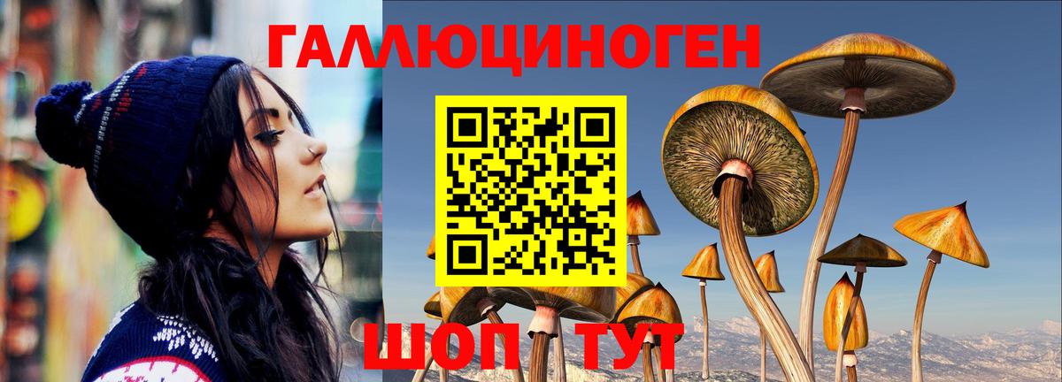 наркота  Псилоцибиновые грибы мицелий  Вход с VPN  Отрадное 